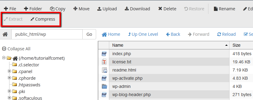 cpanel file manager download folder