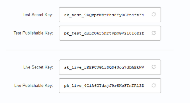 Copying the API Keys from your Stripe account